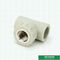 Female Threaded Tee PPR Pipe Fittings Kekuatan Dampak Baik DIN 8007 Standard