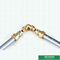 Reducer Threaded Elbow Pex Brass Fittings Warna Kuningan Logo Disesuaikan Fitting Sekrup Berat Tengah