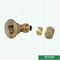 L22MM PEX Brass Fittings PN25 105 Derajat PEX Brass Elbow
