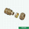 Equal Threaded Coupling Pex Brass Fittings Warna Kuningan Logo Disesuaikan Fitting Sekrup Berat Tengah