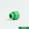 20mm Green Plastic Pipe Fitting Ppr Equal Coupling Untuk Rumah Dengan OEM ODM