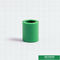 20mm Green Plastic Pipe Fitting Ppr Equal Coupling Untuk Rumah Dengan OEM ODM