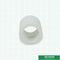 Round Head Code White PPR Plastic Water Pipe Fittings Coupler Dengan Permukaan Halus