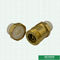 32mm DIN Air Minum Ppr Brass Body Check Valve