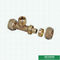 Equal Threaded Tee Pex Brass Fittings Warna Kuningan Logo Disesuaikan Fitting Sekrup Berat Tengah