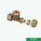 Equal Threaded Tee Pex Brass Fittings Warna Kuningan Logo Disesuaikan Fitting Sekrup Berat Tengah