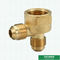 BSPT Forged Brass Flare Fittings 45 Derajat Npt Flare Fitting